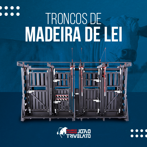 Tronco Madeira